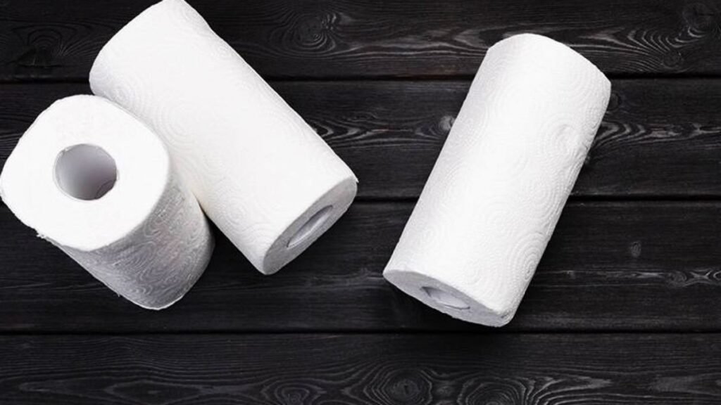 Alternatives to Compostable Paper Towels